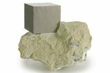 Natural Pyrite Cube In Rock - Navajun, Spain #337869-1